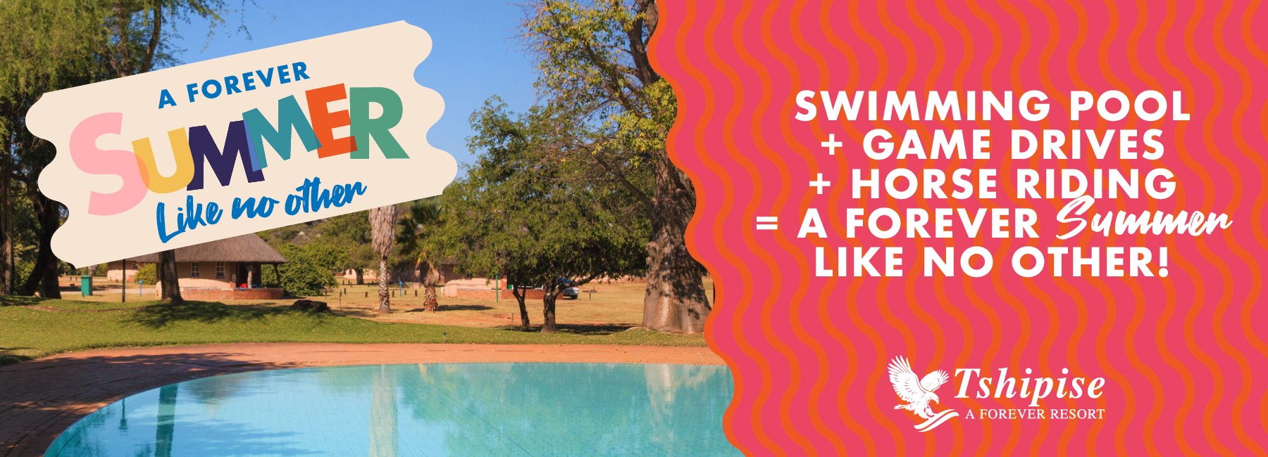 Swimming Pool + Game Drives + Horse Riding = a Forever Summer like no other!