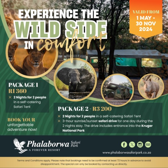 Experience the Wild Side in COMFORT